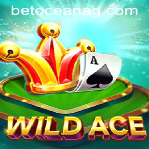 Exploring the Thrilling World of WildAce